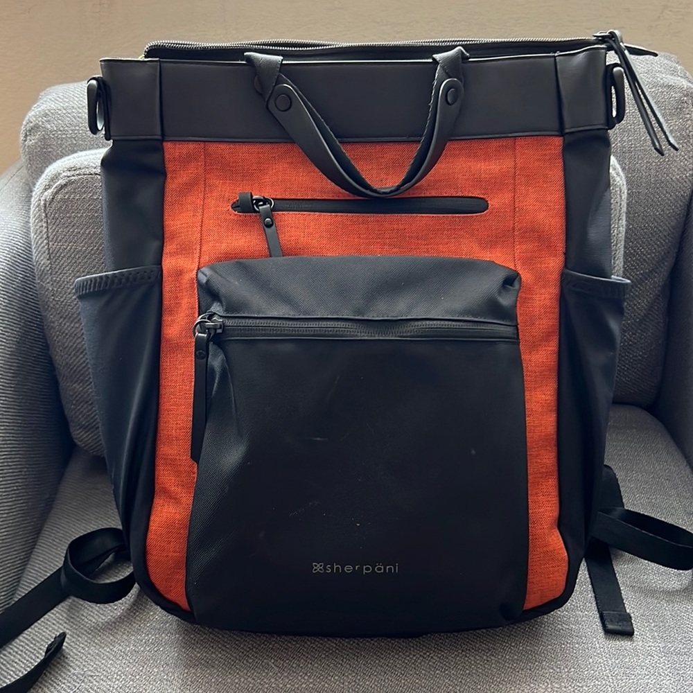 Sherpani work travel backpack